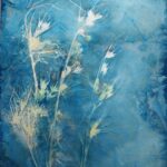 Advanced Cyanotype