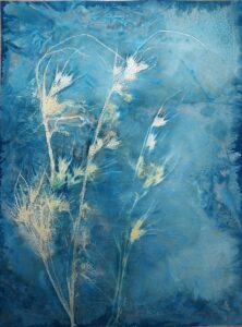 Read more about the article Advanced Cyanotype