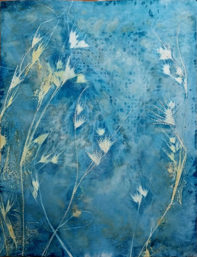 Kangaroo Grass  – Wet Cyanotype